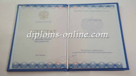 Аттестат 11 классов 2014-2025